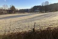 RARITÄT: LANDWIRTSCHAFT IM ERZHERZOG JOHANN BAUSTIL IM OSTSTEIRISCHEN HÜGELLAND - ERWEITERBAR