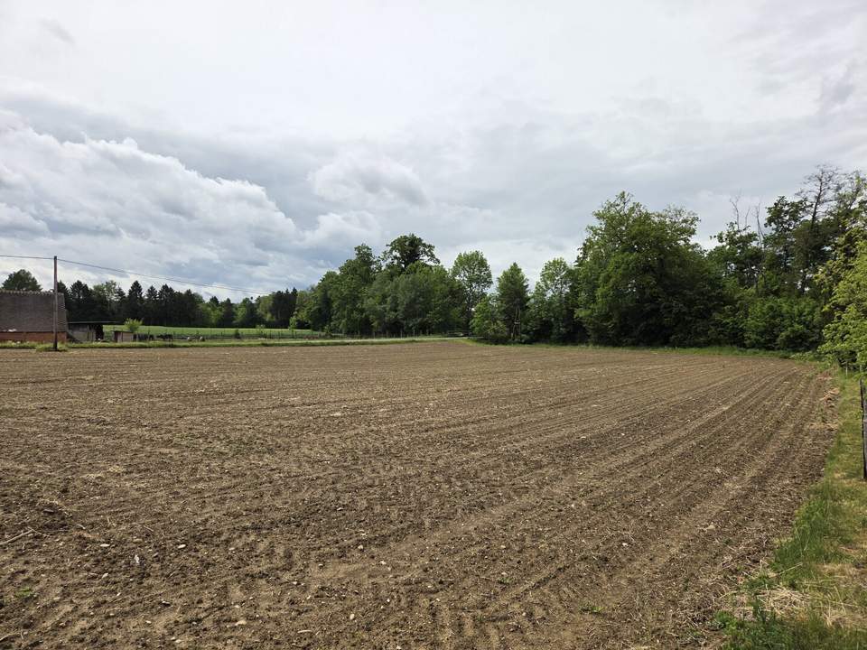 Baugrundstück im Dorfgebiet mit angrenzendem Freilangrund in sehr ruhiger Lage mit Ganztagssonne.