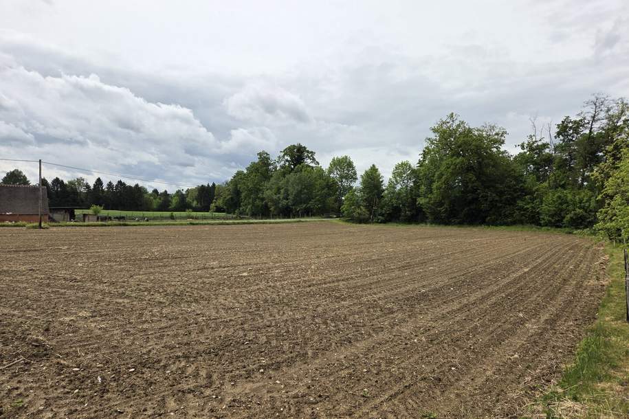 Baugrundstück im Dorfgebiet mit angrenzendem Freilangrund in sehr ruhiger Lage mit Ganztagssonne., Grund und Boden-kauf, 36.000,€, 8483 Südoststeiermark