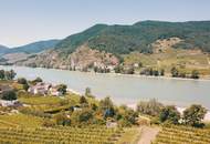 WEINGARTEN IN AUSSICHTSLAGE IM WEINBAUGEBIET WACHAU - WEINGARTEN, LANDWIRTSCHAFTLICHE FLÄCHEN - GRUNDSTÜCK IN DER WACHAU - KEIN BAUGRUNDSTÜCK!