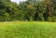 Grundstück sucht eine Familie mit Hausbauwunsch!