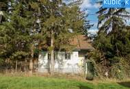 Ruhelage Nähe Donauspital