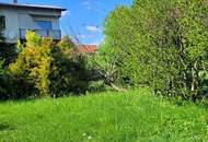 Das Einfamilienhaus–Ihre Leinwand für Wohnträume