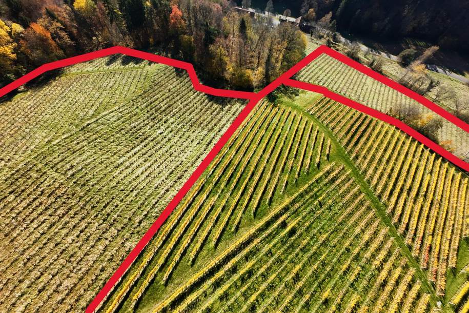 Weingarten in Kranach, Gemeinde Gamlitz zu kaufen ( Zone II ), Gewerbeobjekt-kauf, 440.000,€, 8462 Leibnitz