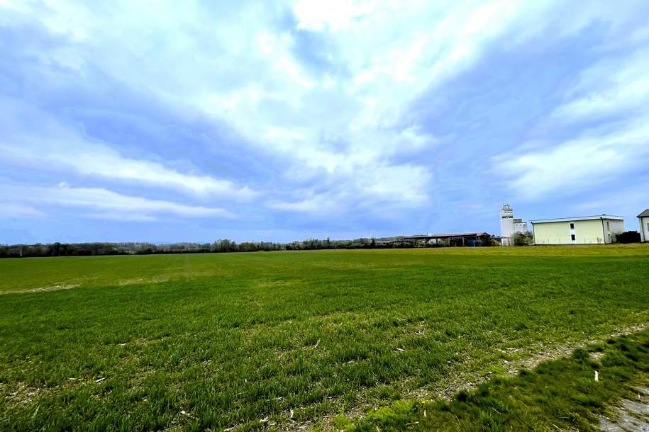 Rarität! Landwirtschaftliches Grundstück in Ebergassing – ca. 40.000 m² Ackerfläche mit enormen Wertsteigerungspotential zu verkaufen!, Grund und Boden-kauf, 450.000,€, 2435 Bruck an der Leitha