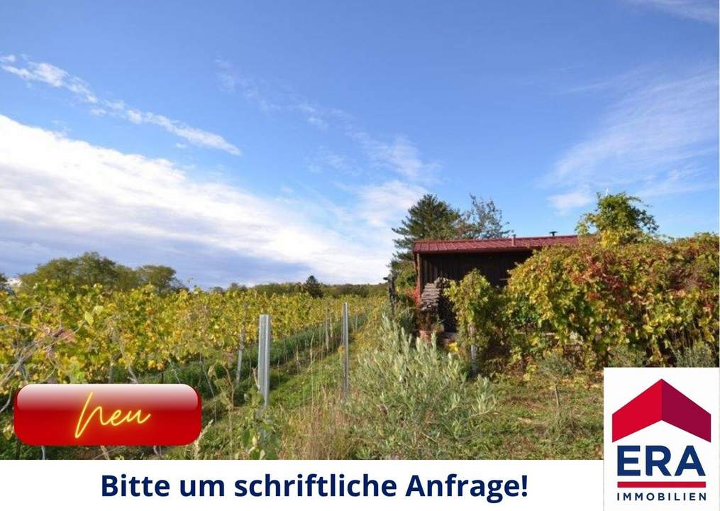 Neuer Preis: Wien KAUF - Reizendes Tinyhaus am Bisamberg