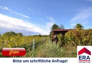 Neuer Preis: Wien KAUF - Reizendes Tinyhaus am Bisamberg