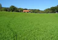 Hübsche, landwirtschaftliche Wiese mit kleinem Wald - KEIN Baugrund !!!