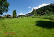 Wunderschönes Grundstück am Waldrand in prominenter Dornbirner Lage