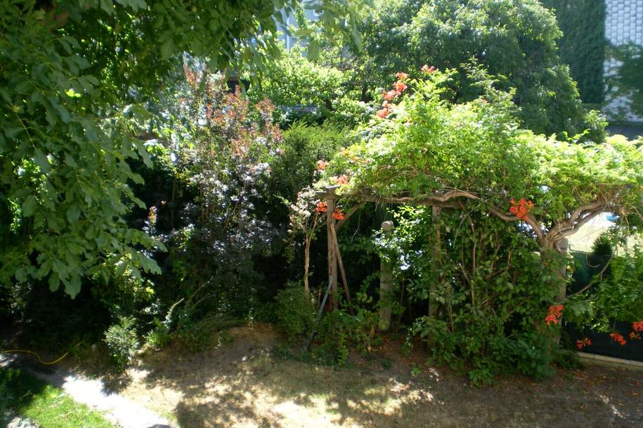 Hausflair mit Dachboden &amp; Garten, Wohnung-miete, 1.090,00,€, 2500 Baden