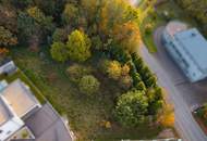 Vom Traum zum Zuhause – 821 m² Lebensfreude in Steinhaus - Grundstück mit vielen Möglichkeiten