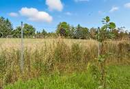 Wo Feste beginnen und Erinnerungen reifen.....