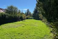 "Kraft, Vitalität und Harmonie"