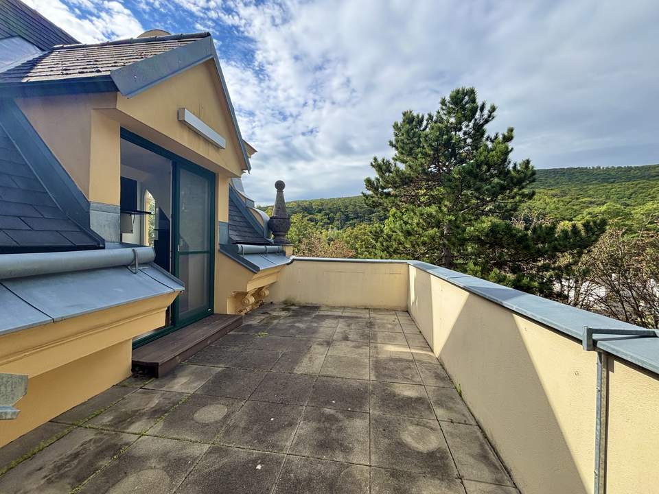 Adventsaktion: PROVISIONFREI I Südwest-Dachterrasse inkl. Blick ins Grüne I 3,20m Raumhöhe I Stellplätze verfügbar I freier Mietzins