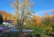 Holztraumhaus im Herzen des Wienerwalds