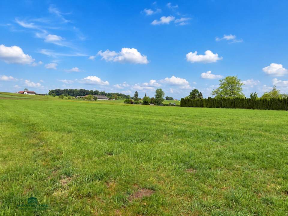 Großes Baugrundstück in ruhiger Lage - Grundstück Süden