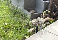 TOP-Gartenwohnung in Judendorf-Straßengel mit 3 Zimmern, Terrasse und 2 Stellplätzen!