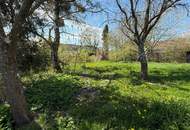 kleines leistbares Haus mit verträumtem Garten möchte neu erstrahlen