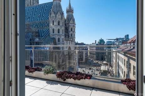 Großzügige 3-Zimmer Terrassen-Penthousewohnung mit Büronutzung, Wohnung-miete, 7.175,74,€, 1010 Wien 1., Innere Stadt