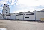 Großzügige Industriehalle in St. Valentin - 1311 m² zur Miete für Ihre Geschäftsideen, inkl. Büroräume auf 2 Etagen