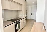 NEU! Erstbezug und möbliert: Sonnenaufgang zum Träumen - DANUBEFLATS. The one and only.