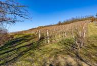 8798 m² WEINGARTEN IN DEN HÜGELN VON FAHNDORF - PANORAMALAGE!