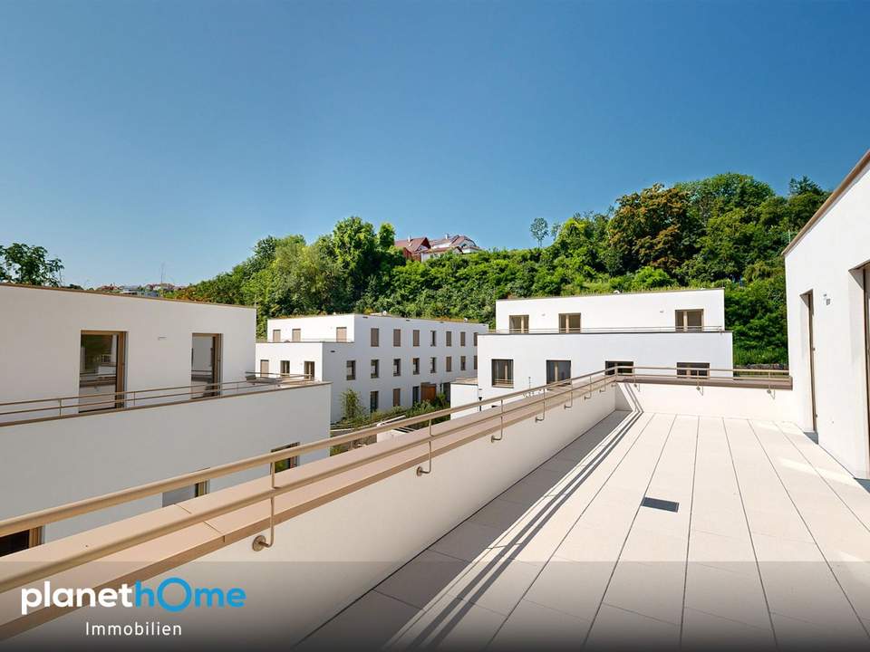 Erstbezug : Neubau : 4-Zimmer-Wohnung : Terrasse