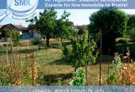 Sonniges Grundstück ohne Bauzwang!