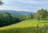 RUHIGE AUSSICHTSLAGE AN DER GRÜNLANDGRENZE