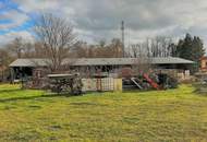 Großes Grundstück mit Einfamilienhaus und Lagerhalle