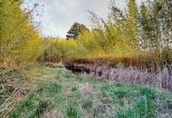 Praktisches Geschäftslokal mit Wohneinheit