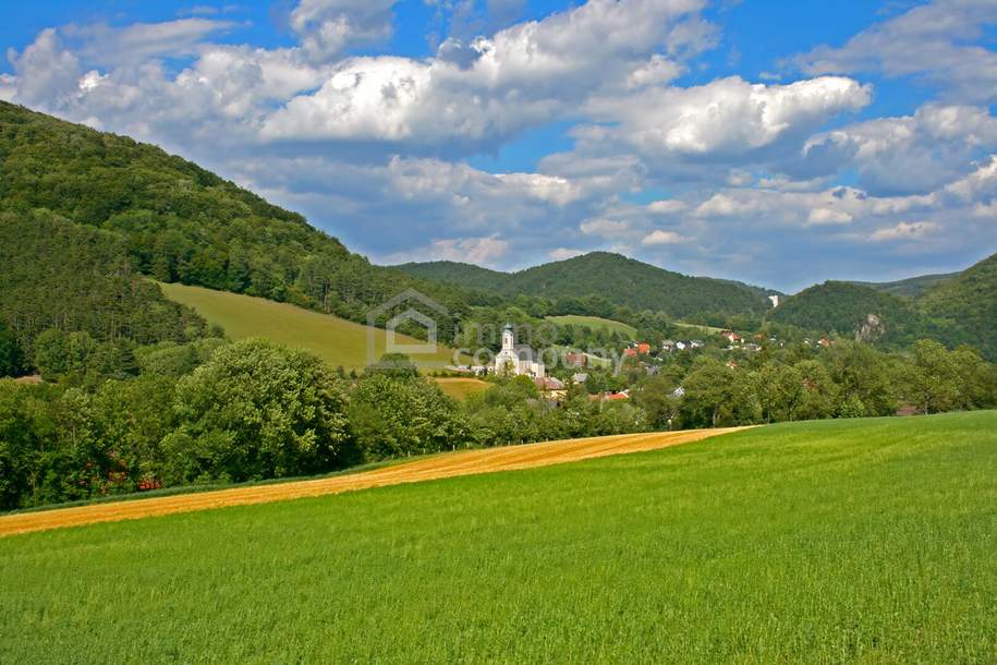 Mehrfamilienhaus mit großem Potenzial – attraktive Gelegenheit für Sanierungsprofis! Kaufpreis:145.000,– FIX, Haus-kauf, 145.000,€, 2571 Baden