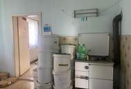 Handwerkerkönig gesucht! Abbruchobjekt, Bauland, Wiese und Wald!