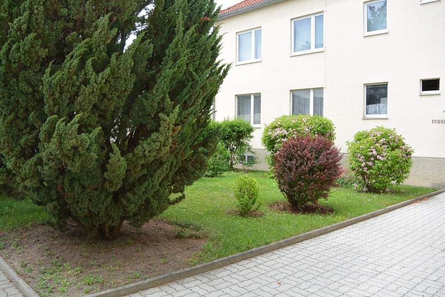 Stylische Wohnung, Wohnung-kauf, 169.000,€, 2511 Baden