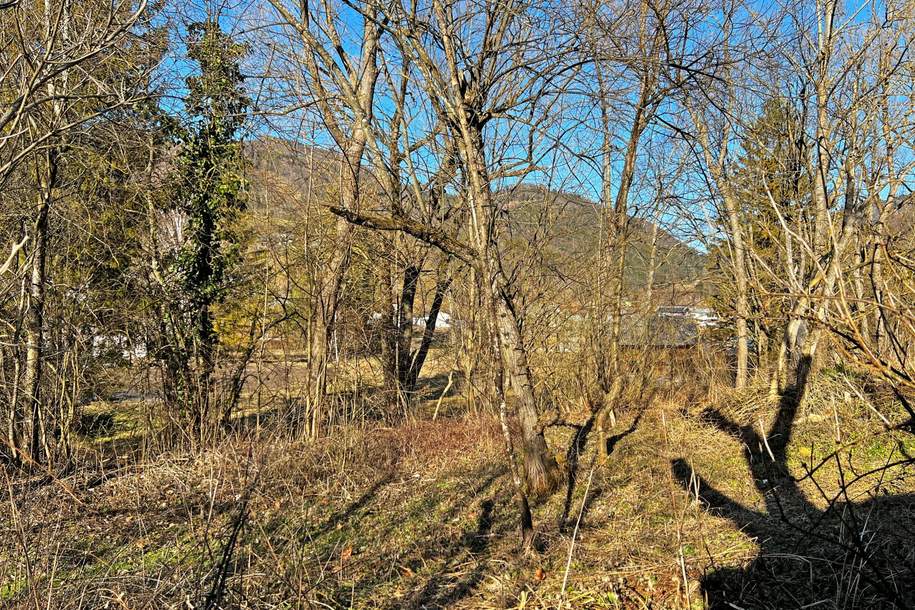 Baugrund in Lehenrotte/Türnitz an der Via Sacra - Nähe Lilienfeld, Grund und Boden-kauf, 45.000,€, 3183 Lilienfeld