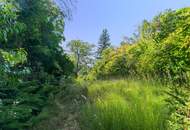 Sieveringer Villenlage: Weitblick, perfekte Ausrichtung und jede Menge Privatsphäre