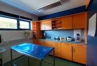 89,5 m² Tierarztpraxis, Ordination in Mürzhofen – sofort verfügbar