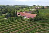 IN SLOWENIEN - Weingut in der berühmten Weinbauregion JERUZALEM