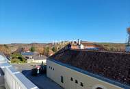 Erstbezug: Charmante 2-Zi Gartenwohnung mit Terrasse &amp; Stellplatz in Ulrichskirchen!
