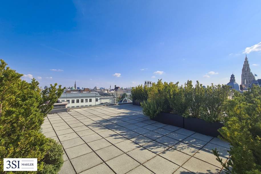 Außergewöhnliches Terrassen-Penthouse in hervorragender Lage!, Wohnung-miete, 7.750,00,€, 1010 Wien 1., Innere Stadt