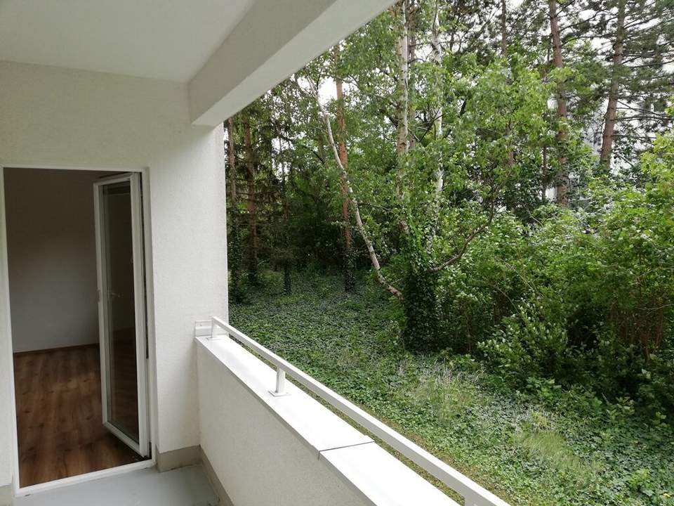 Singlehit in Ruhelage mit Grünblick