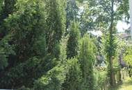 Exklusives Eigentumsobjekt in 1A Grünruhelage (Mauer im Grenzbereich zum 13. Bez. Hietzing)