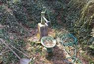 "Exklusives Refugium mit Biotop &amp; 3.000 qm Gartenparadies!"