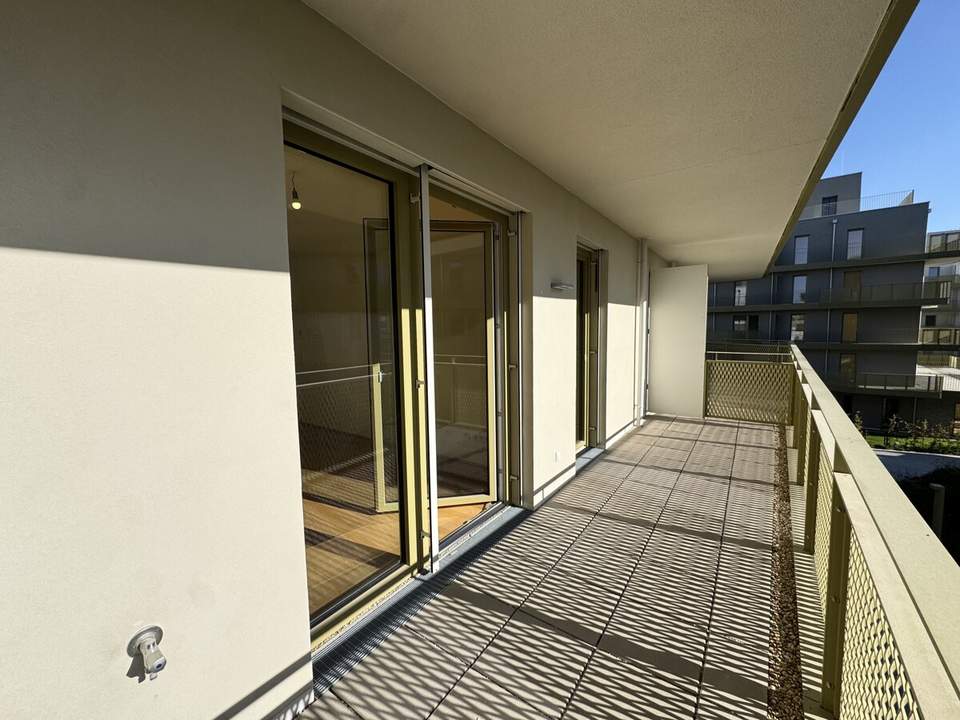 Neu: Super Preis Hit! Erstbezug und provisionsfrei - Hirschfeld