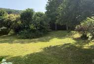 Leben über dem Alltag – Familienidylle in erhöhter Ruhelage am Hirschentanz | ZELLMANN IMMOBILIEN