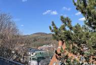 PENTHOUSE LIVING - FIXPREIS - ATEMBERAUBENDER WIENBLICK - DREI RIESEN TERRASSEN - ERSTBEZUG!
