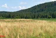 1,8 ha Bauland Potential in Jaunstein - Globasnitz