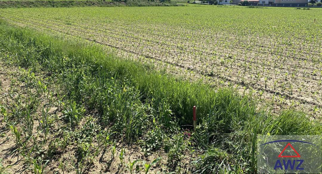 TOLLES Baugundstück in Großsteinbach!