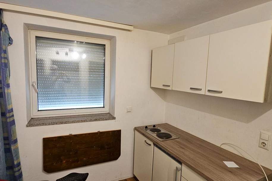 Garconniere mit Terrassenbenützung, Wohnung-miete, 350,00,€, 4470 Linz-Land