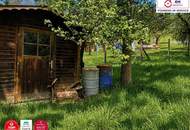 Wohnen im ruhen Hagenbrunn - Holzhaus mit ca. 2550 m2 großem Garten!